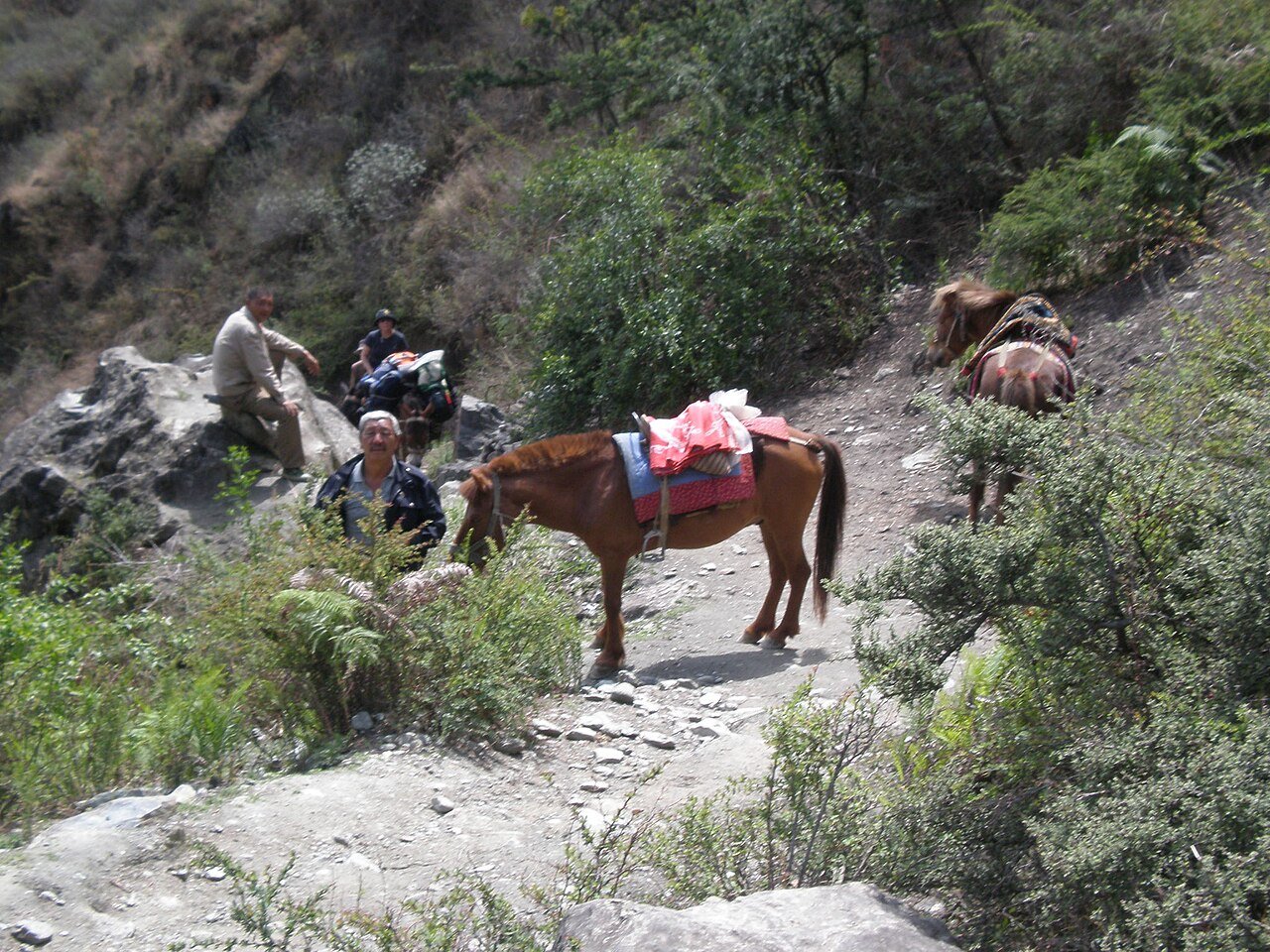 Tiger Leaping Gorge, Yunnan