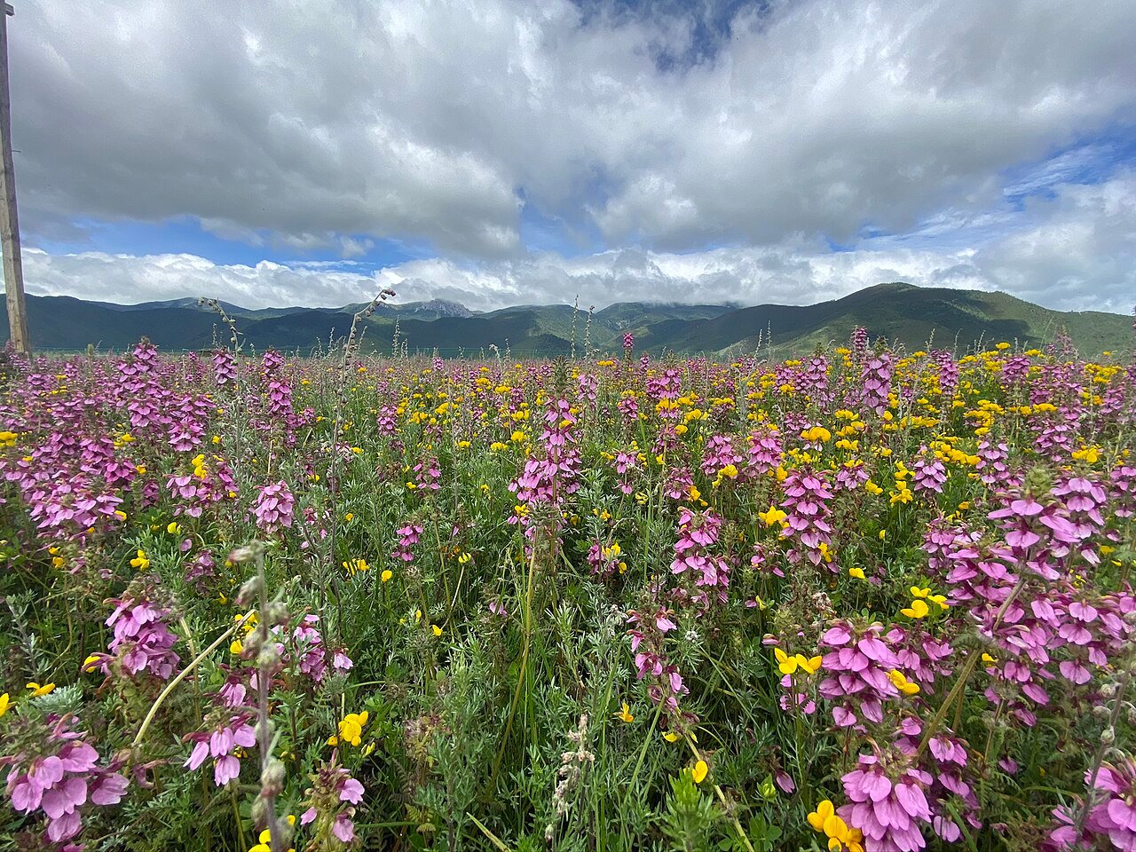 6-Day Meili Snow Mountain Photography Tour in Yunnan