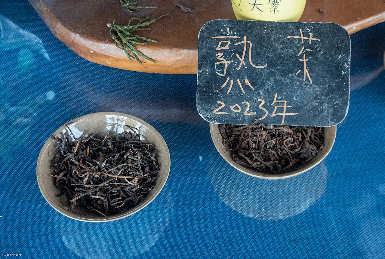 5-Day Pu’er & Jingmai Tea Culture Tour in Yunnan