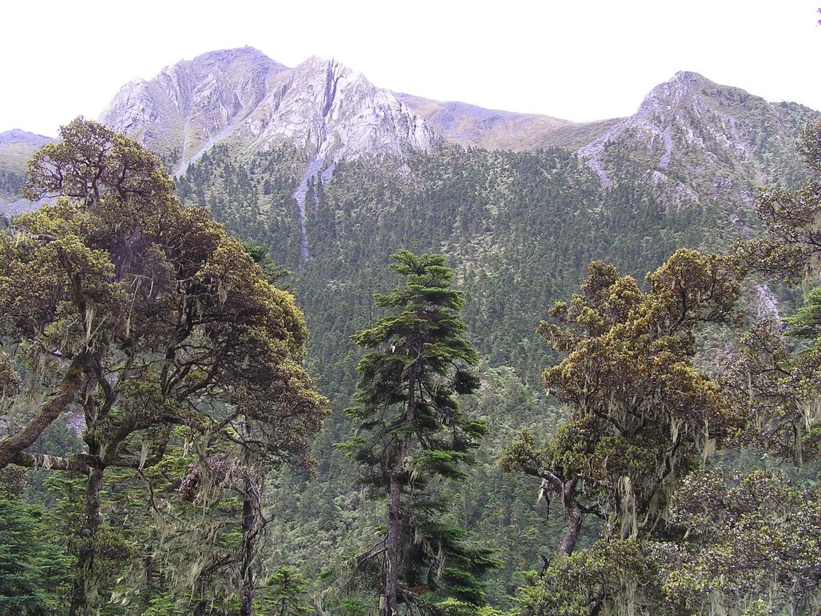 5-Day Lijiang & Shangri-La Private Tour in Yunnan