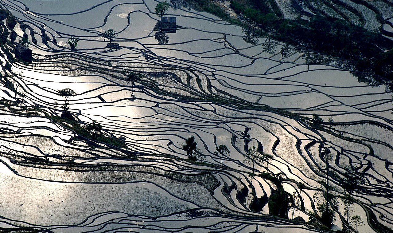 5-Day Yuanyang Family Culture Journey in Yunnan
