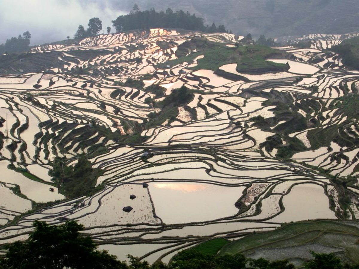 2-Day Yuanyang Rice Terrace Photo Escape in Yunnan