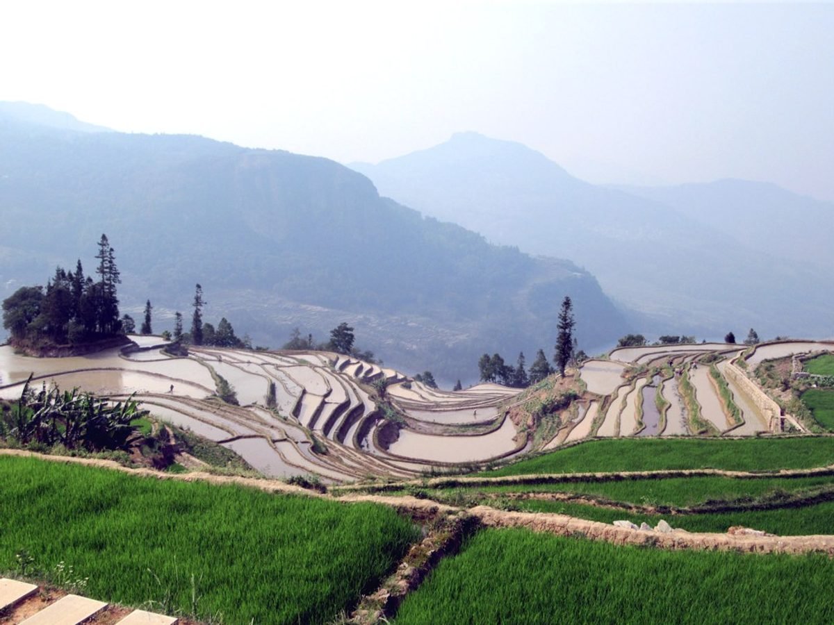 4-Day Yuanyang Photography Tour in Yunnan