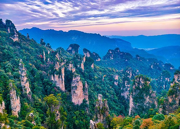 Day 1 Forest Park, Bailong Elevator, Yuanjiajie, Avatar Mountains, Yangjiajie, Tianzi Mountain