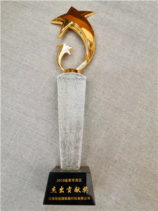 Royal Caribbean Yunnan Best Performance Award