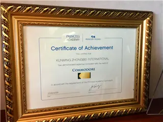 Princess Cruises Commodore Travel Expert