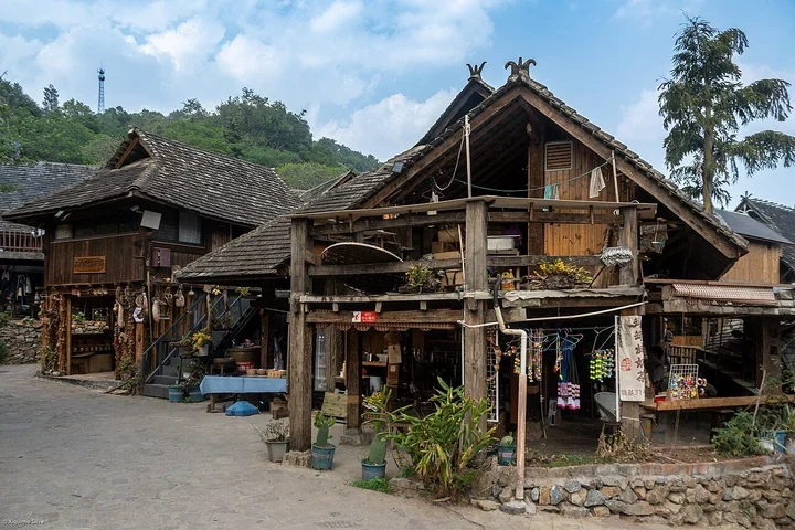 4-Day Jingmai Mountain Photography Tour — itinerary scenery