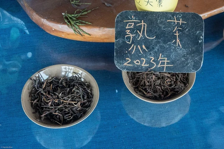 3-Day Jingmai Villages & Tea Culture — itinerary scenery