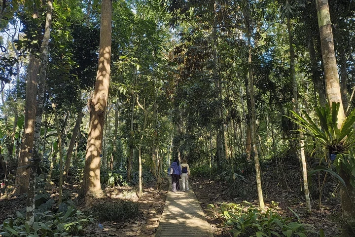 3-Day Classic Xishuangbanna Tour — itinerary scenery