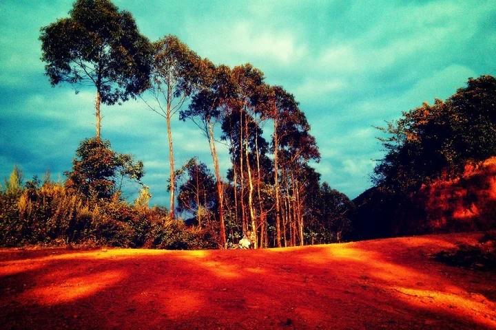 4-Day Xishuangbanna Rainforest & Elephant Tour — itinerary scenery