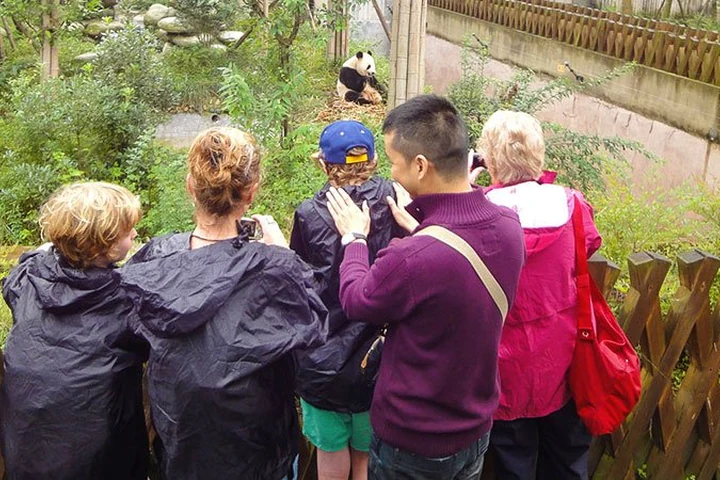 Travelers watching pandas in Sichuan