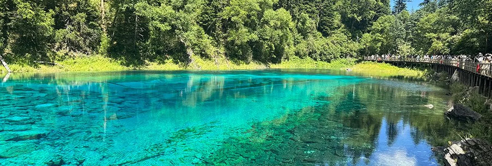 Clear lake water and forest in Jiuzhaigou