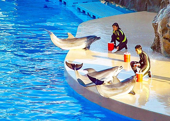 Osaka Aquarium Kaiyukan