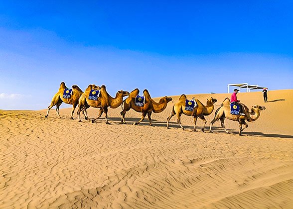 6 Days Private Tour of South Inner Mongolia Including Deserts and Grassland