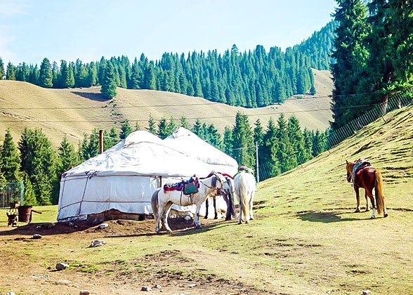 Yurt Camps on the Grassland Yurt Camps on the Grassland