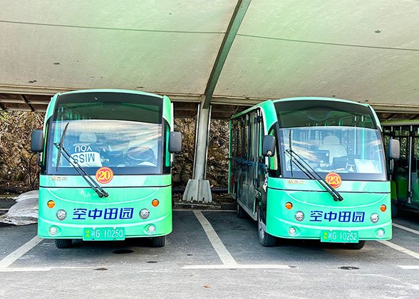 Sightseeing Bus to Sky Garden