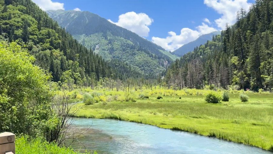 The Dense Forest and Brook, Jiuzhaigou National Park