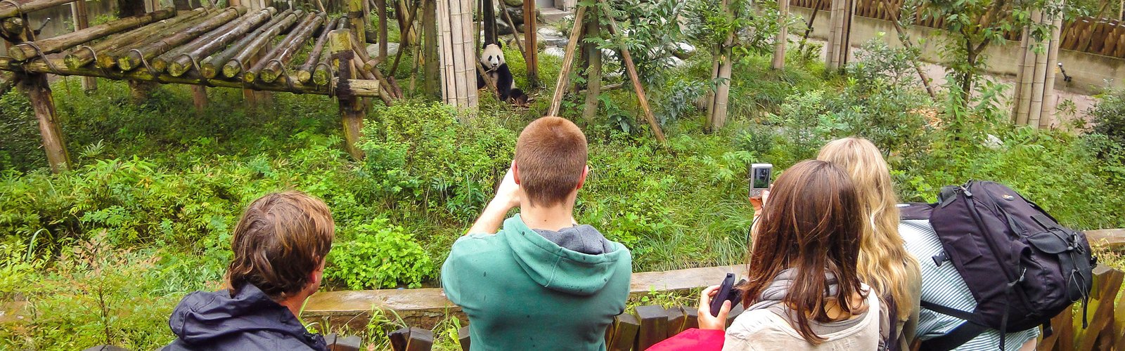 Visitors Taking Photos of Pandas