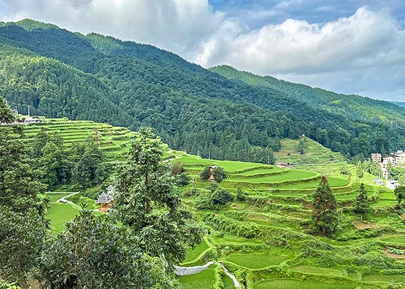 Terraced Fields of Dong Village