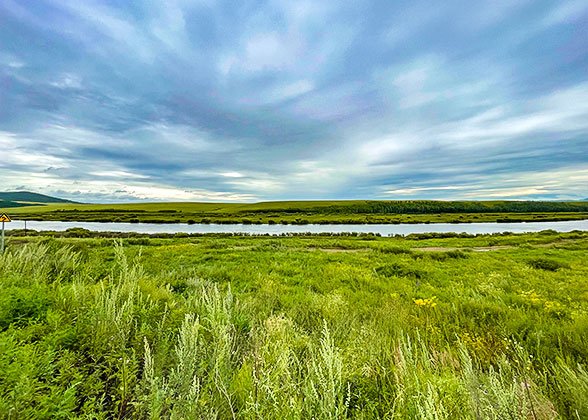 Hulun Prairie in July Hulun Prairie in July