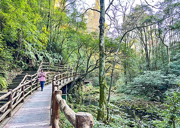 Hiking at the Golden Whip Stream