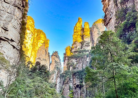 Hike along Golden Whip Stream to View the Gorgeous Peaks Hike along Golden Whip Stream to View the Gorgeous Peaks