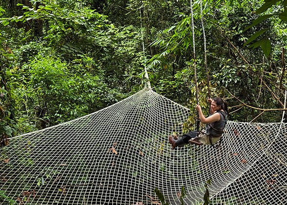 Rainforest Exploration in Xishuangbanna Rainforest Exploration in Xishuangbanna