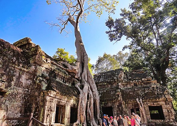 Ta Prohm Temple