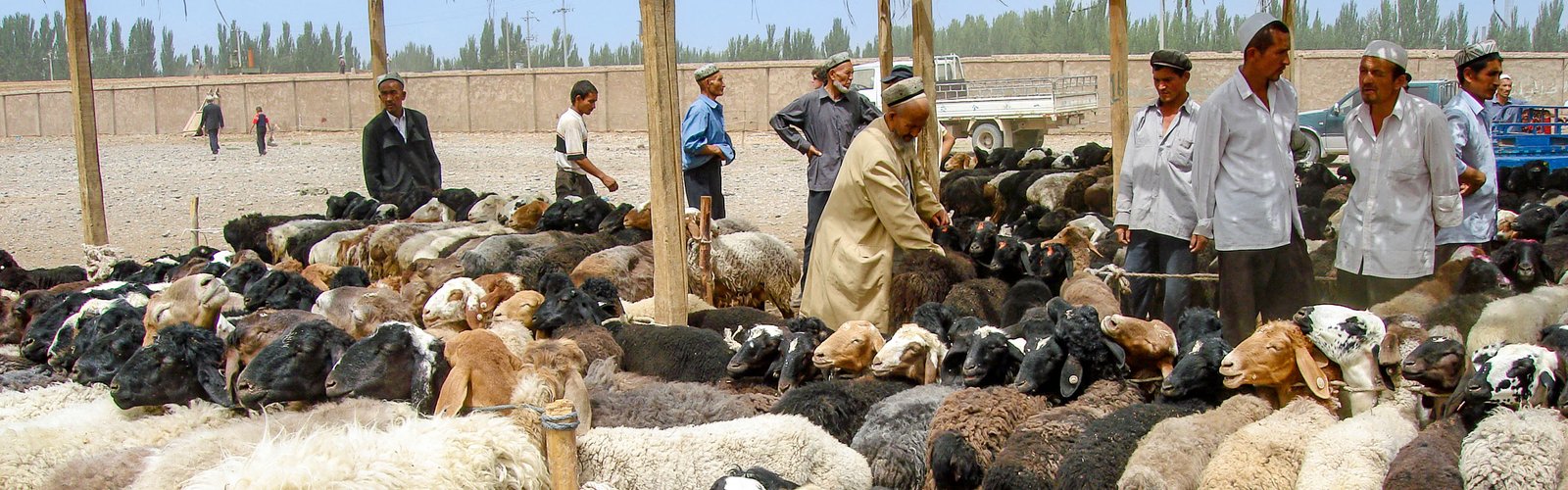 Sunday Bazaar in Xinjiang Sunday Bazaar in Xinjiang
