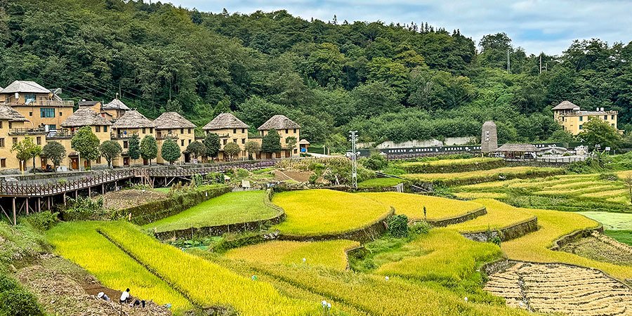 Hani Rice Terraces, Yuanyang