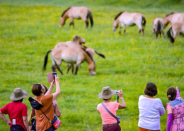 Our Guests at Xilingol Prairie Our Guests at Xilingol Prairie