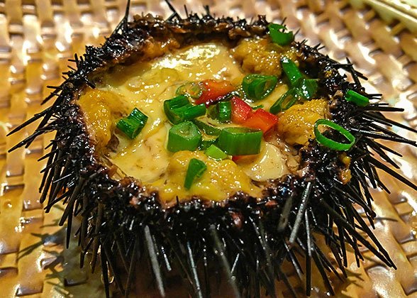 Yummy Sea Urchins
