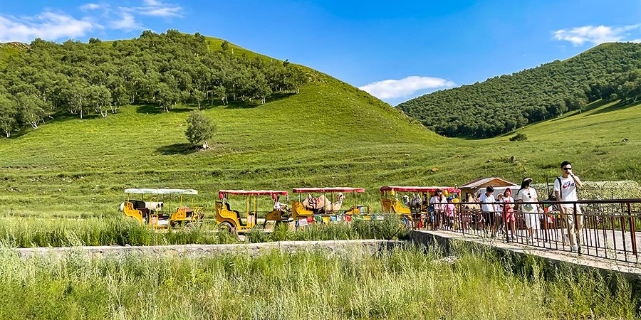 Grassland in July