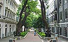 Western-style Buildings in Shamian Island, Guangzhou