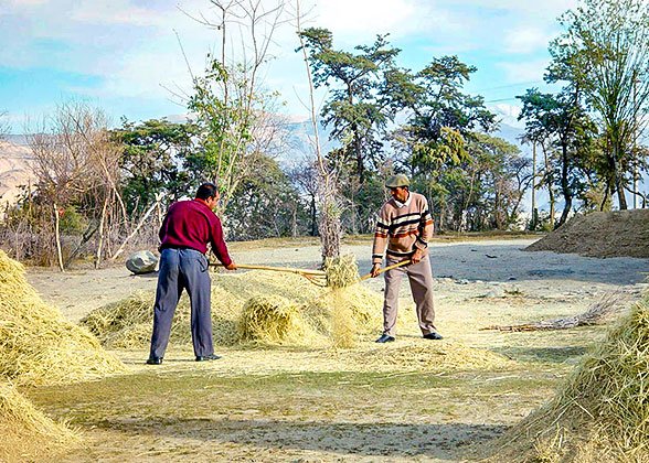 Farmers in Kazakhstan Farmers in Kazakhstan