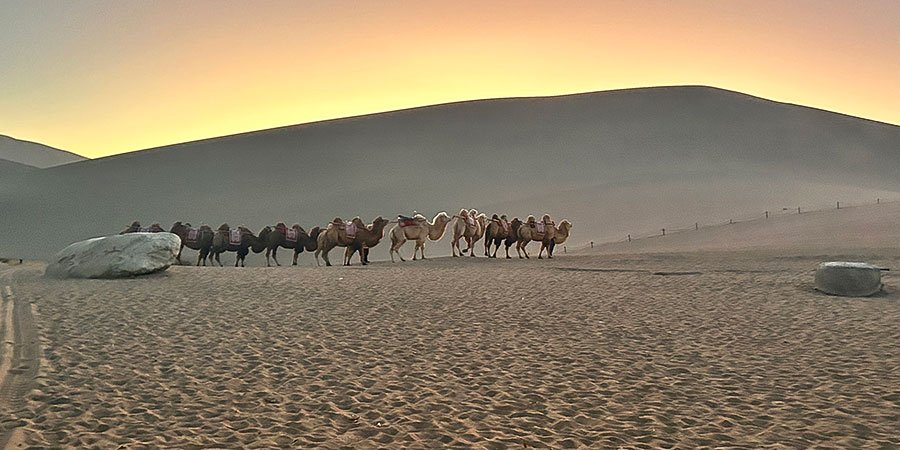Riding Camels