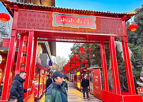 The Market for Chinese New Year
