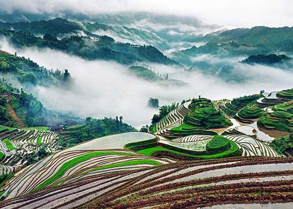 Longji Rice Terraces