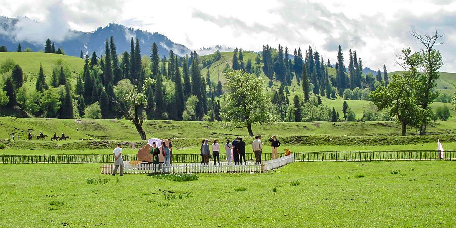 Nalati Grassland in Summer