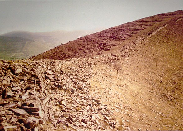 Qi Great Wall