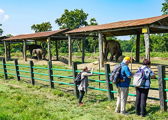 Elephant Breading Center, Chitwan