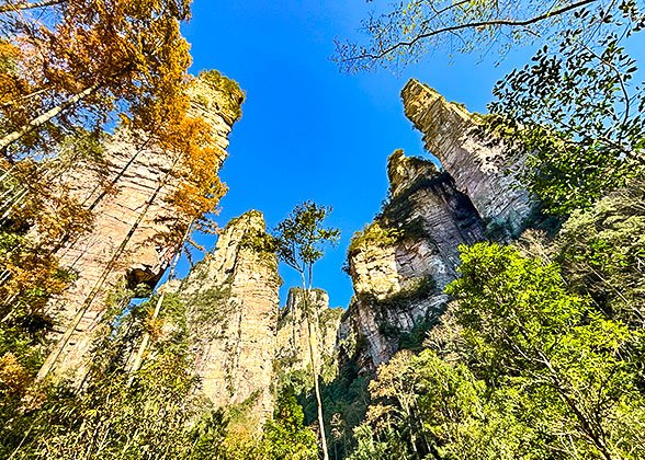 Scenery along the Golden Whip Stream