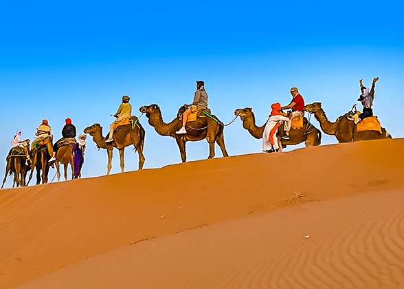 A Camel Ride at Sunset