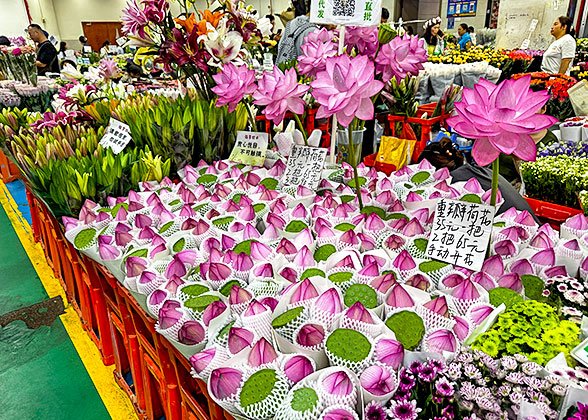 Dounan Flower Market