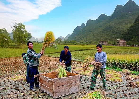 Yangshuo Countryside