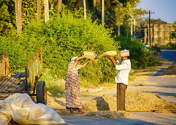 Local Life at the Countryside Local Life at the Countryside