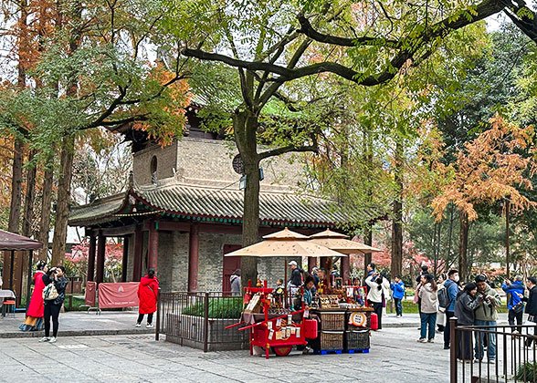 Autumn Leaves in Mt. Huashan