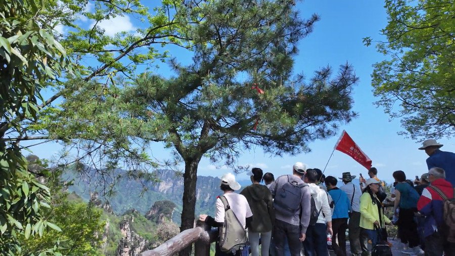 The View Point on Tianzi Mountain