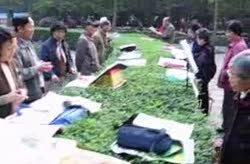 People's Park in Chengdu, Sichuan Province