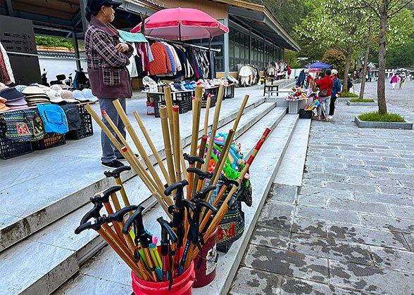 Hiking Stick